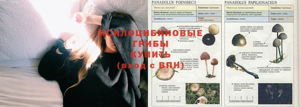 бутик Богданович
